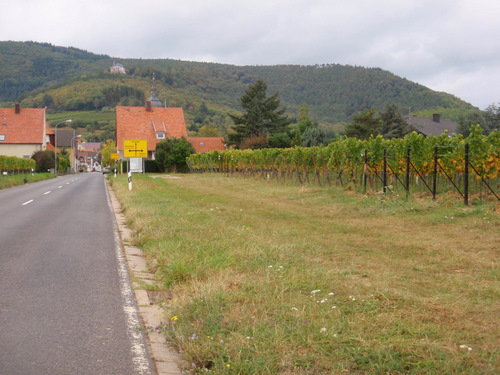 Burrweiler Village area.